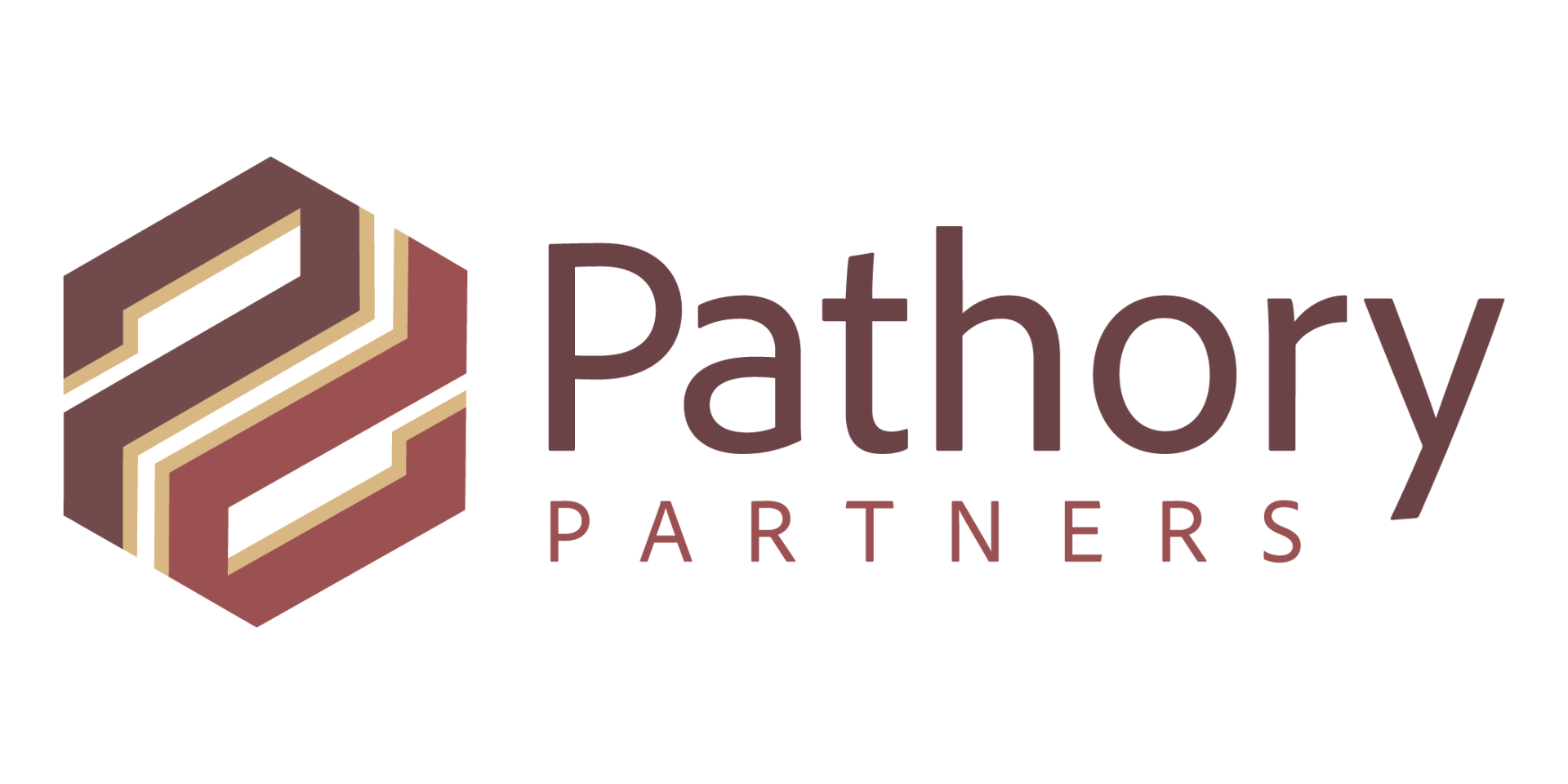 Pathory Partners logo